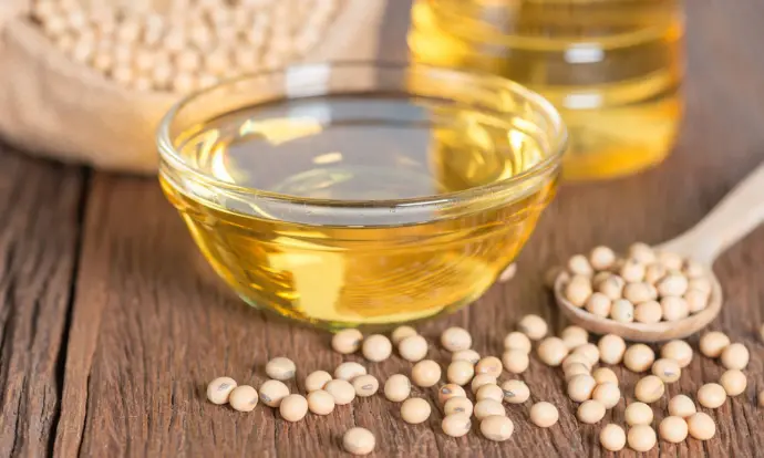 soybean oil and soybean grains