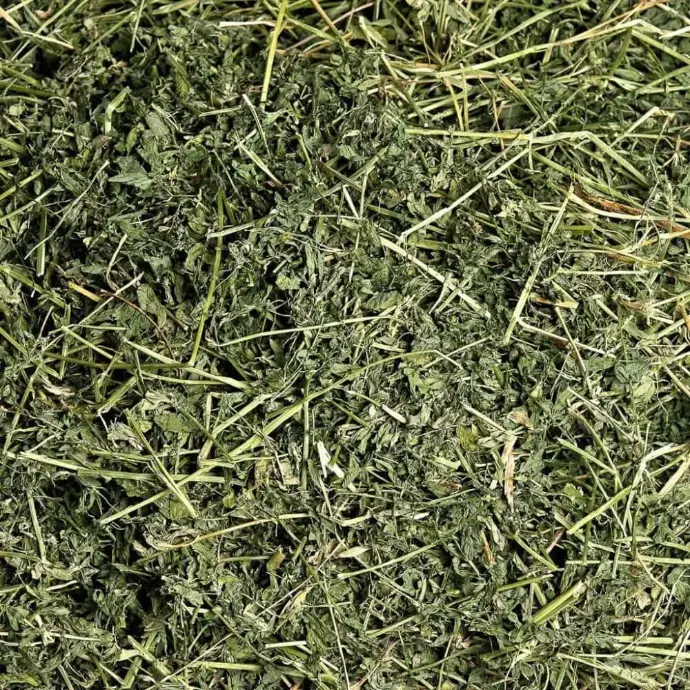 alfalfa grass